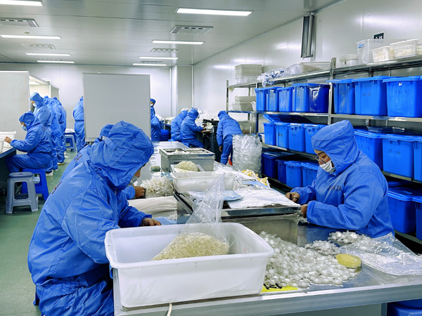 醫(yī)用耗材的采購與質量控制：打造高品質醫(yī)療服務