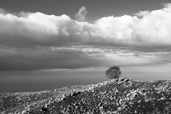 面對全球競爭和疫情后的市場動蕩，醫(yī)療器械行業(yè)趨于什么樣的形勢？