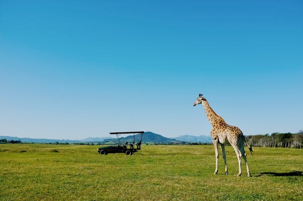 從手術(shù)室到家庭：醫(yī)療用品如何守護你的安全與健康