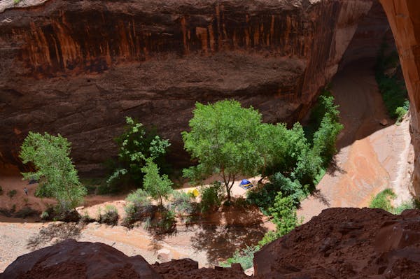 國(guó)家藥監(jiān)局對(duì)《醫(yī)療器械分類目錄》進(jìn)行多次動(dòng)態(tài)調(diào)整